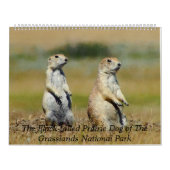 The Black-tailed Prairie Dog 2015 Calendar Kalender (Hoes)