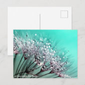 The Bloemenstilstand Aankondigingskaart (Voorkant / Achterkant)