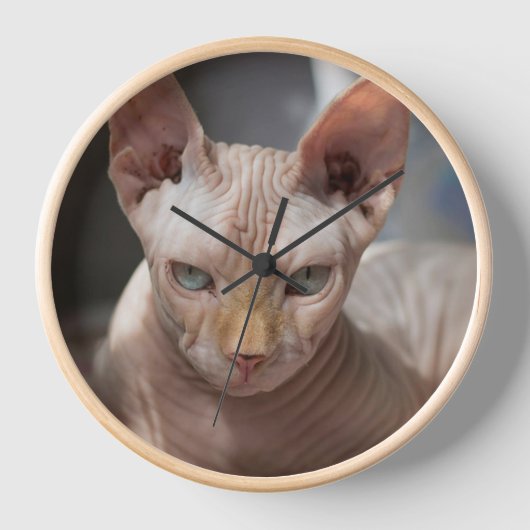 The Bold Cat – Artistic Wall Clock for Cat Lovers (Voorkant)
