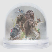 The Boykin Spaniel (Arrière)