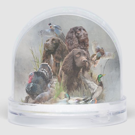 The Boykin Spaniel (Arrière)