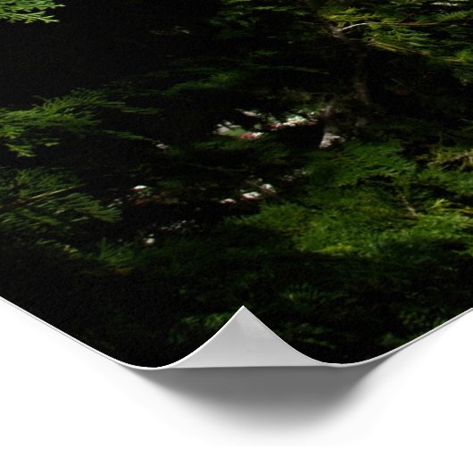 The Breakers: Vanderbilt's Summer Home Poster (Hoek)