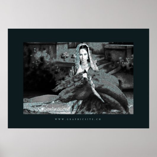 The Bride - Poster (Devant)