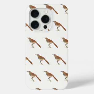 The Brown Thrush of Brown Thrasher, New York Birds iPhone 15 Pro Case