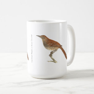 The Brown Thrush of Brown Thrasher, New York Birds Koffiemok