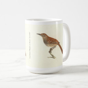 The Brown Thrush of Brown Thrasher, New York Birds Koffiemok
