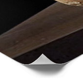 The Bust of Queen Nefertiti Poster (Hoek)