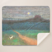 The Cat's Midnight Journey Sherpa Deken (Voorkant (horizontaal))