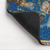 The Ceiling of the Sala Bologna, Celestial Map Muismat (Hoek)