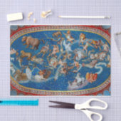 The Ceiling of the Sala Bologna, Celestial Map Tissuepapier (Craft)