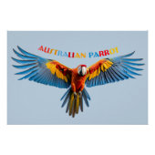 The colorful Parrot Perfect Poster (Voorkant)