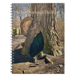The Curious Hollow Notitieboek