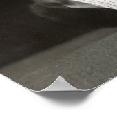 The Dapper Cat, 1906.  foto Poster (Hoek)