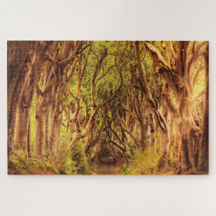 The Dark Hedges Antrim Ierland. Legpuzzel