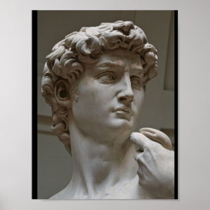 "The David" van Michelangelo Poster