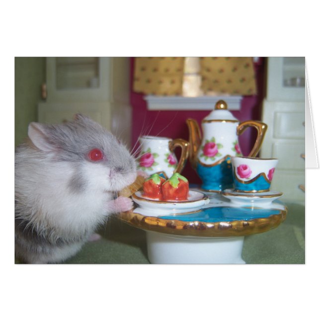 Thé de hamster (Devant horizontal)