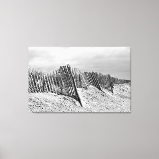 The Dune Fence Canvas Print