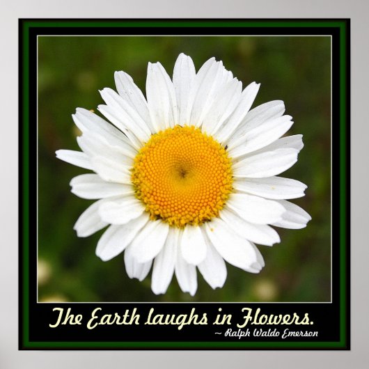 The Earth Laughs in Flowers Poster (Voorkant)