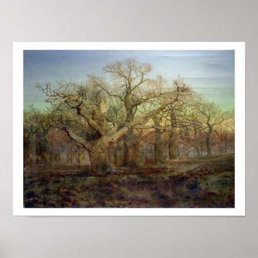 The Edge of Sherwood Forest, 1878 Poster (Voorkant)