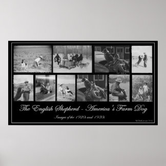 The English Shepherd - America's Boerderij Dog Poster