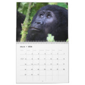 The Face of the Mountain Gorilla/ No US Feestdagen Kalender (Mar 2026)