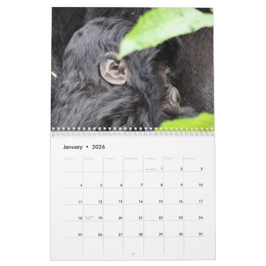 The Face of the Mountain Gorilla/ No US Feestdagen Kalender (Jan 2026)