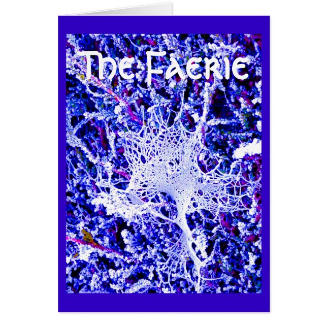 The Faerie - Spider Web (Voorkant)