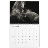 The Forest Boyz – Calendrier Always & Forever (Mar 2027)