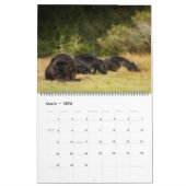 The Forest Boyz - hartverwarmende kalender (Mar 2026)