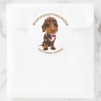 The George | Modern Pet Influencer Custom Photo 3" Ronde Sticker