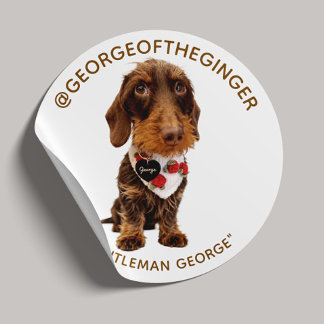 The George | Modern Pet Influencer Photo 1.5" Ronde Sticker