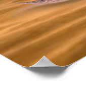 THE GIANT SQUID POSTER (Hoek)