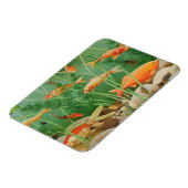 The Golden Touch 2011 Magneet (Linkerzijde)