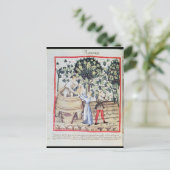 The Grape Harvest, 13e eeuw Briefkaart (Staand voorkant)