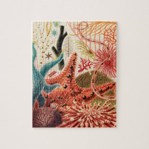 The Great Barrier Reef Australia Legpuzzel