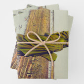 The Great Bartholdi Statue, Statue of Liberty Inpakpapier Vel (In situ)