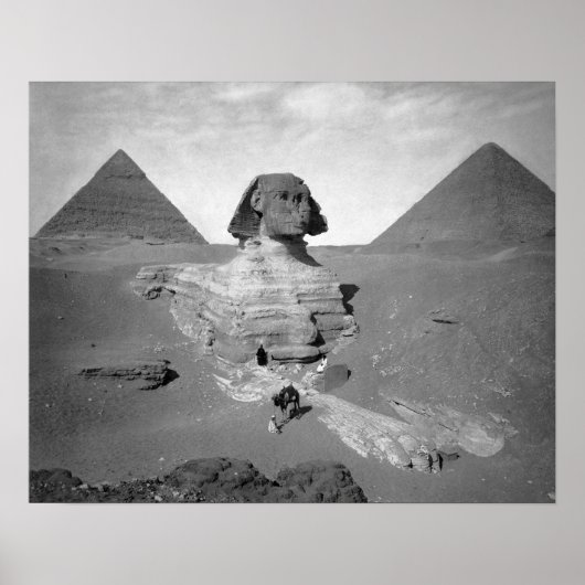 The Great Sphinx & Pyramids, 1878. foto Poster (Voorkant)