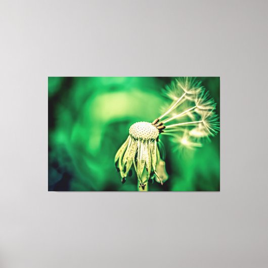 The Green Chief Funny Floral Canvas Afdruk (Voorkant)
