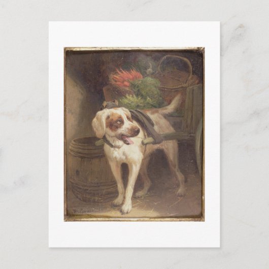 The Grocer's Dog (olie op het paneel) Briefkaart (Voorkant)