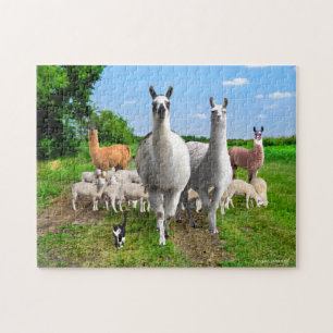 "The Guard Llamas" Legpuzzel