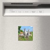 "The Guard Llamas" Magneet (Insitu (Vaatwasser))