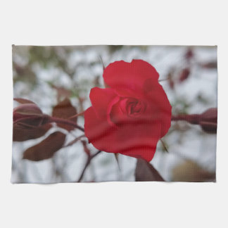 The Heart of Winter  Theedoek