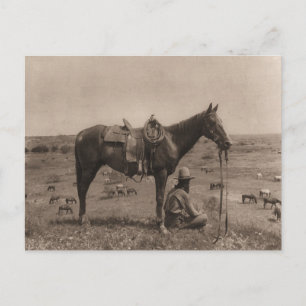 The Horse Wrangler 1910 Briefkaart