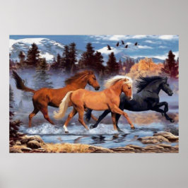 The Horses Whisperer Poster