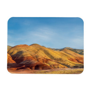 The John Day Fossil Beds Magneet