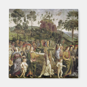 The Journey of Moses, c.1481-83 Magneet