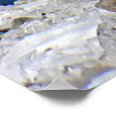 The Kea - New Zealand's Apline Parrot Poster (Hoek)