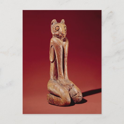 The Key Marco Cat uit Florida Briefkaart (Voorkant)