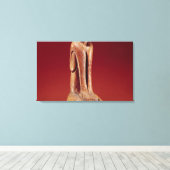 The Key Marco Cat uit Florida Canvas Afdruk (Insitu (Houten vloer))