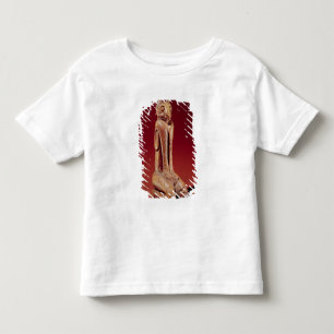 The Key Marco Cat uit Florida Kinder Shirts